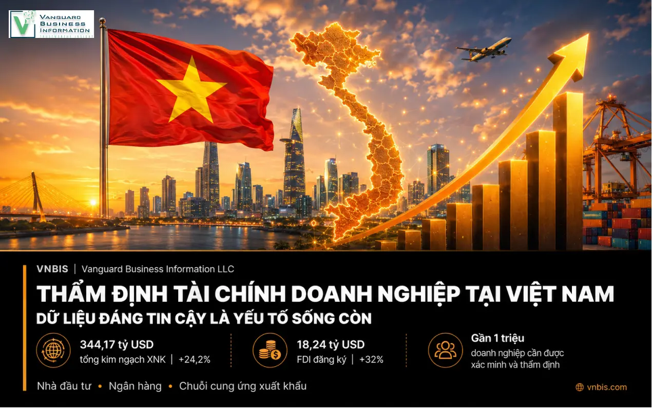 Thẩm Định Tài Chính Doanh Nghiệp tại Việt Nam  Tại Sao Dữ Liệu Đáng Tin Cậy Là Yếu Tố Sống Còn