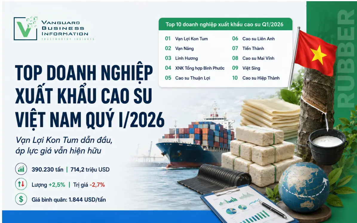 TOP DOANH NGHIỆP XUẤT KHẨU CAO SU VIỆT NAM QUÝ I/2026: VẠN LỢI KON TUM DẪN ĐẦU, ÁP LỰC GIÁ VẪN HIỆN HỮU