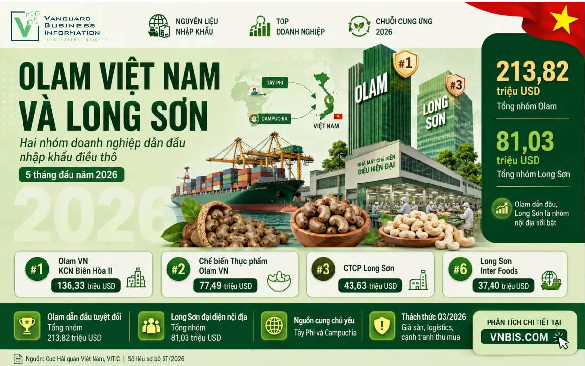 Olam Việt Nam và Long Sơn: Hai nhóm doanh nghiệp dẫn đầu nhập khẩu nguyên liệu điều thô 5 tháng đầu năm 2026