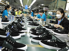 Ngành giày dép